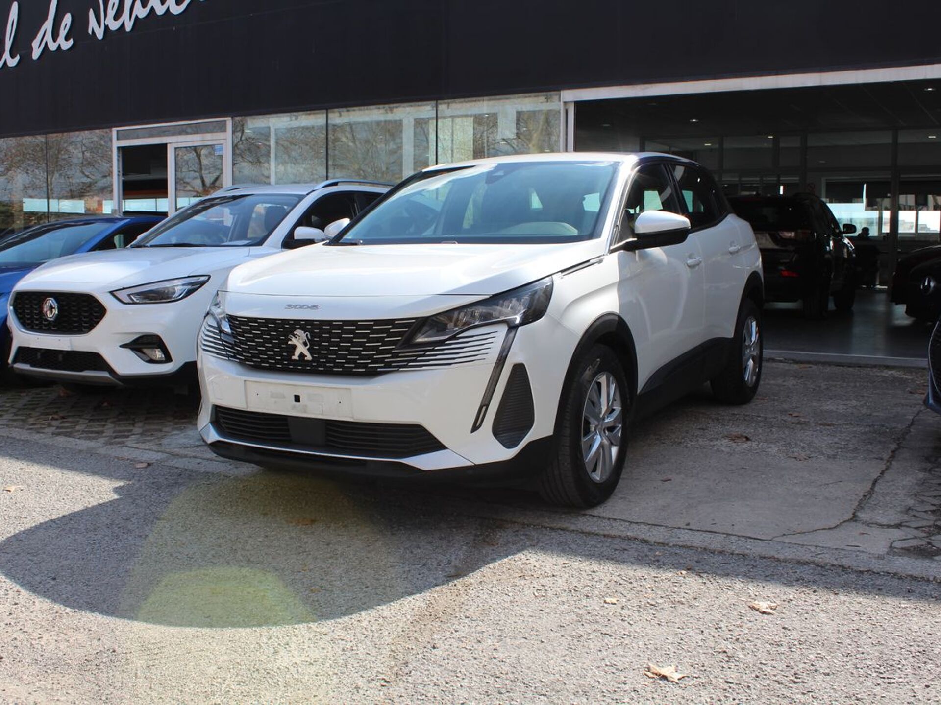 Imagen de PEUGEOT 3008