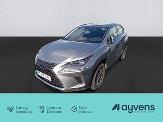 Imagen de LEXUS NX 300h Business 2WD