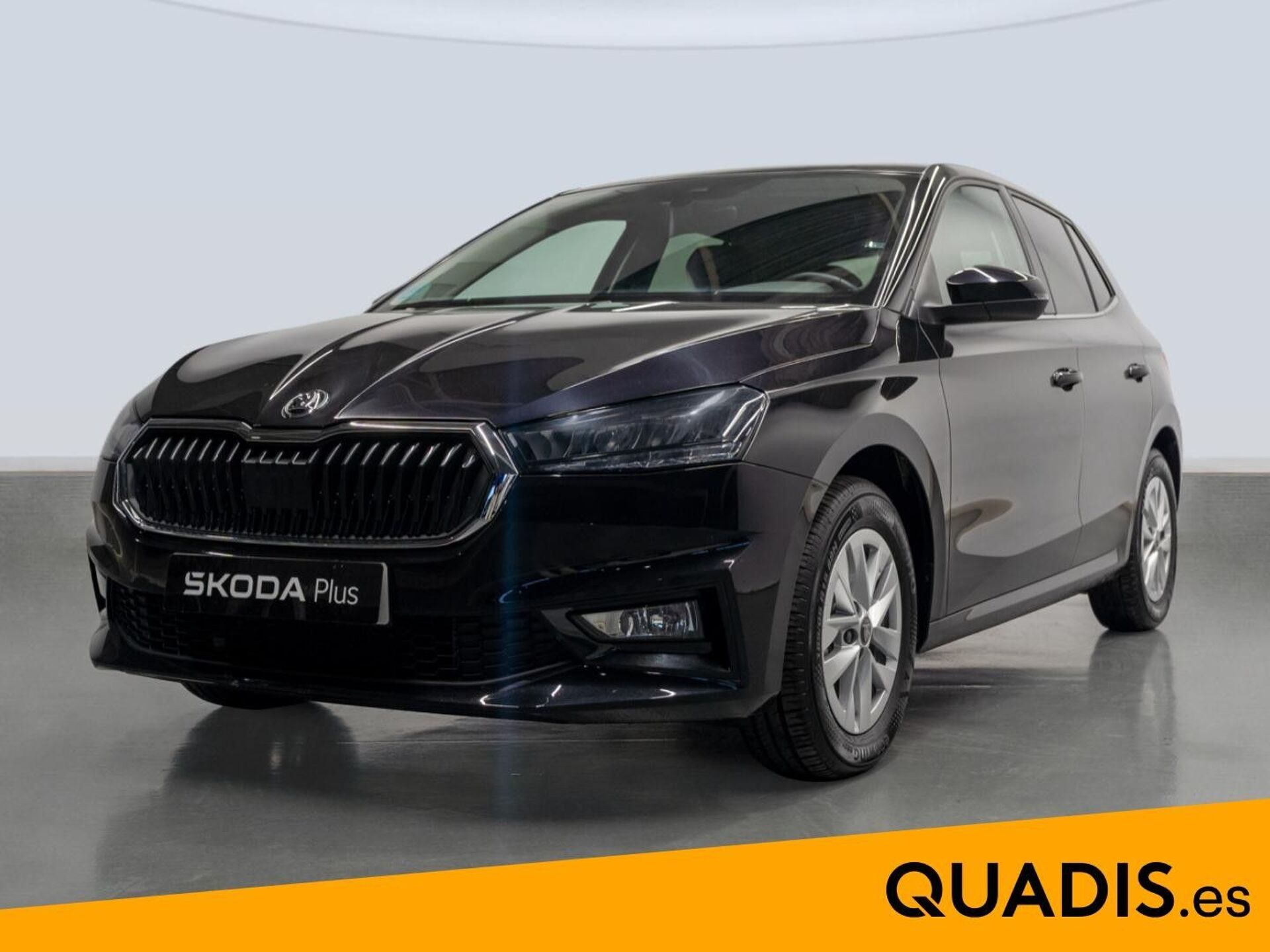 Imagen 1 de SKODA Fabia