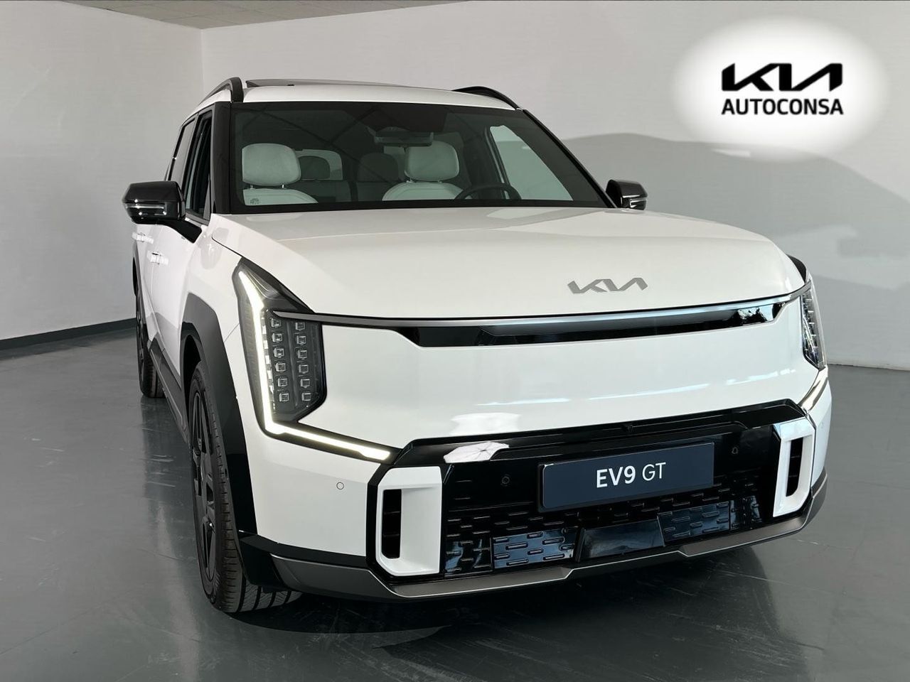 KIA EV9 (GT-Line 99,8kWh 283kW AWD 7pl) en Valladolid