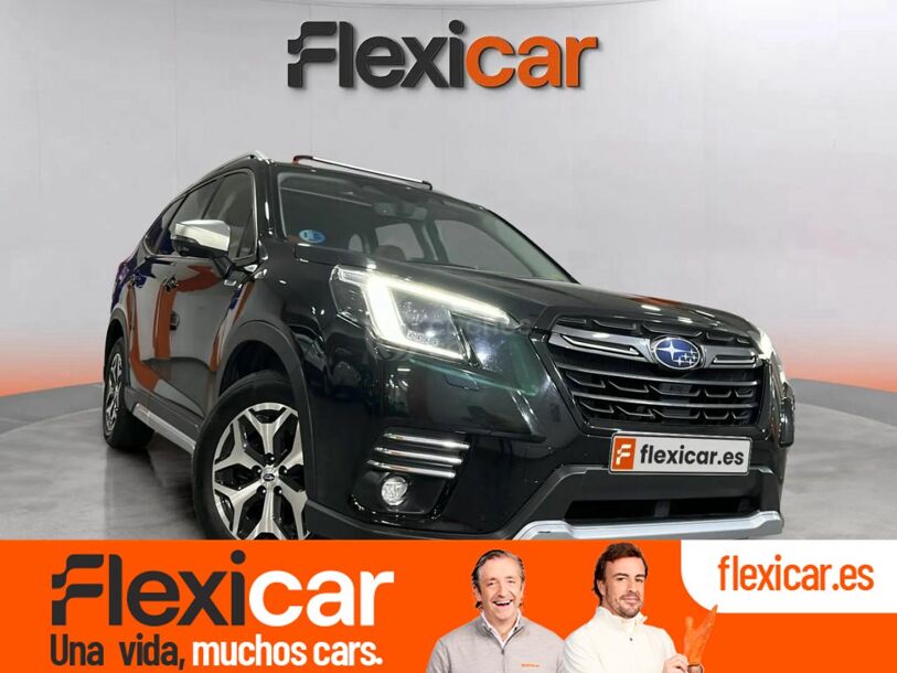 Foto del SUBARU Forester 2.0i Hybrid Executive Plus CVT