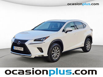 Imagen de LEXUS NX 300h Business Navigation 2WD