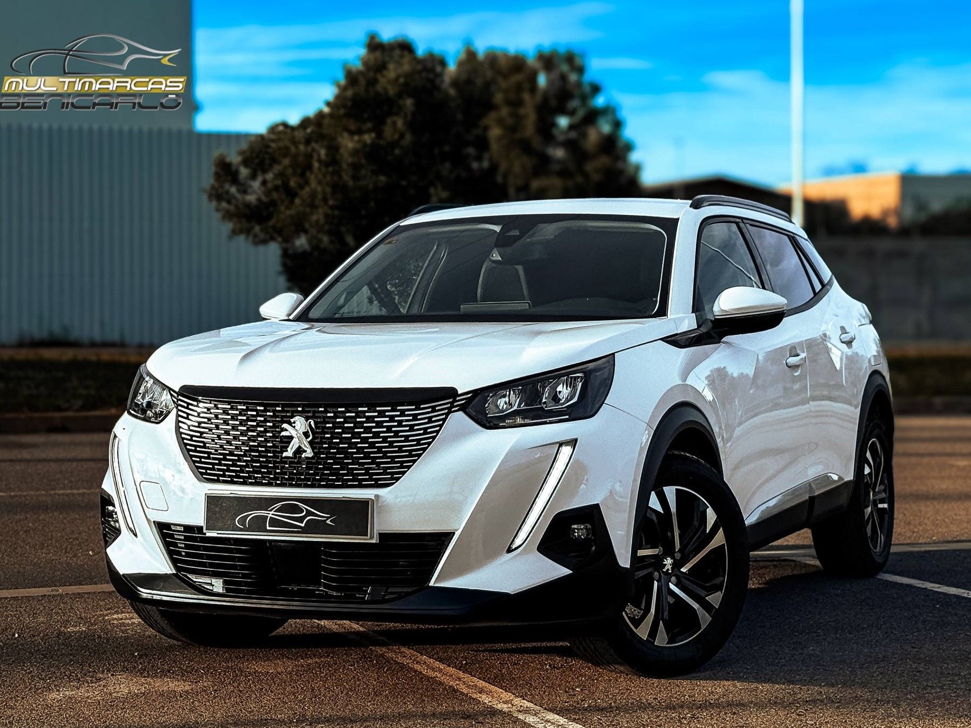 Imagen de PEUGEOT 2008