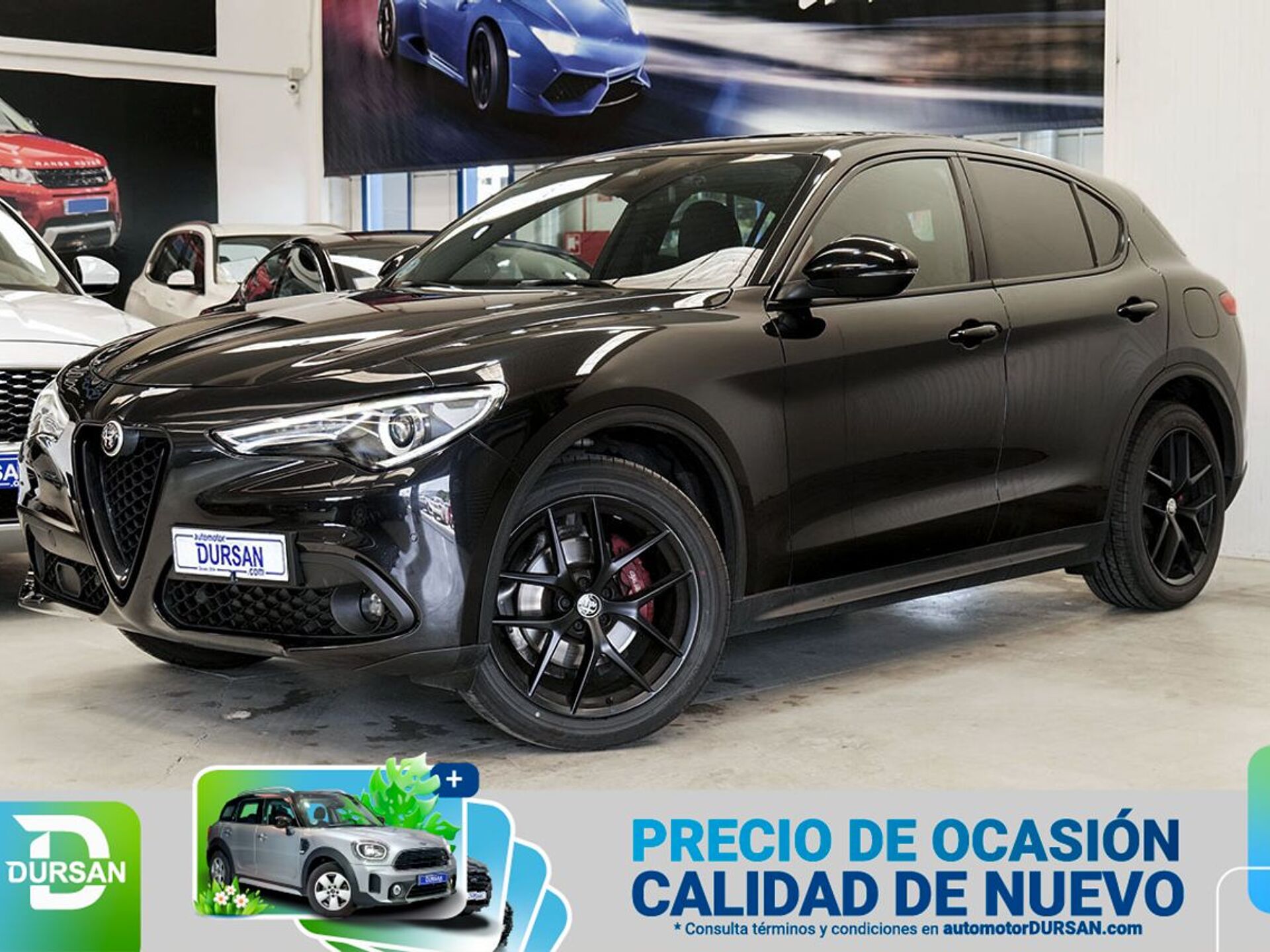 Imagen de ALFA ROMEO Stelvio