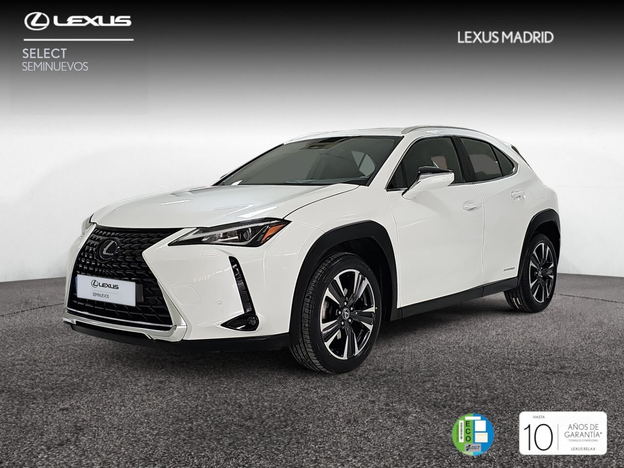 LEXUS UX (2.0 250h Premium) en Madrid