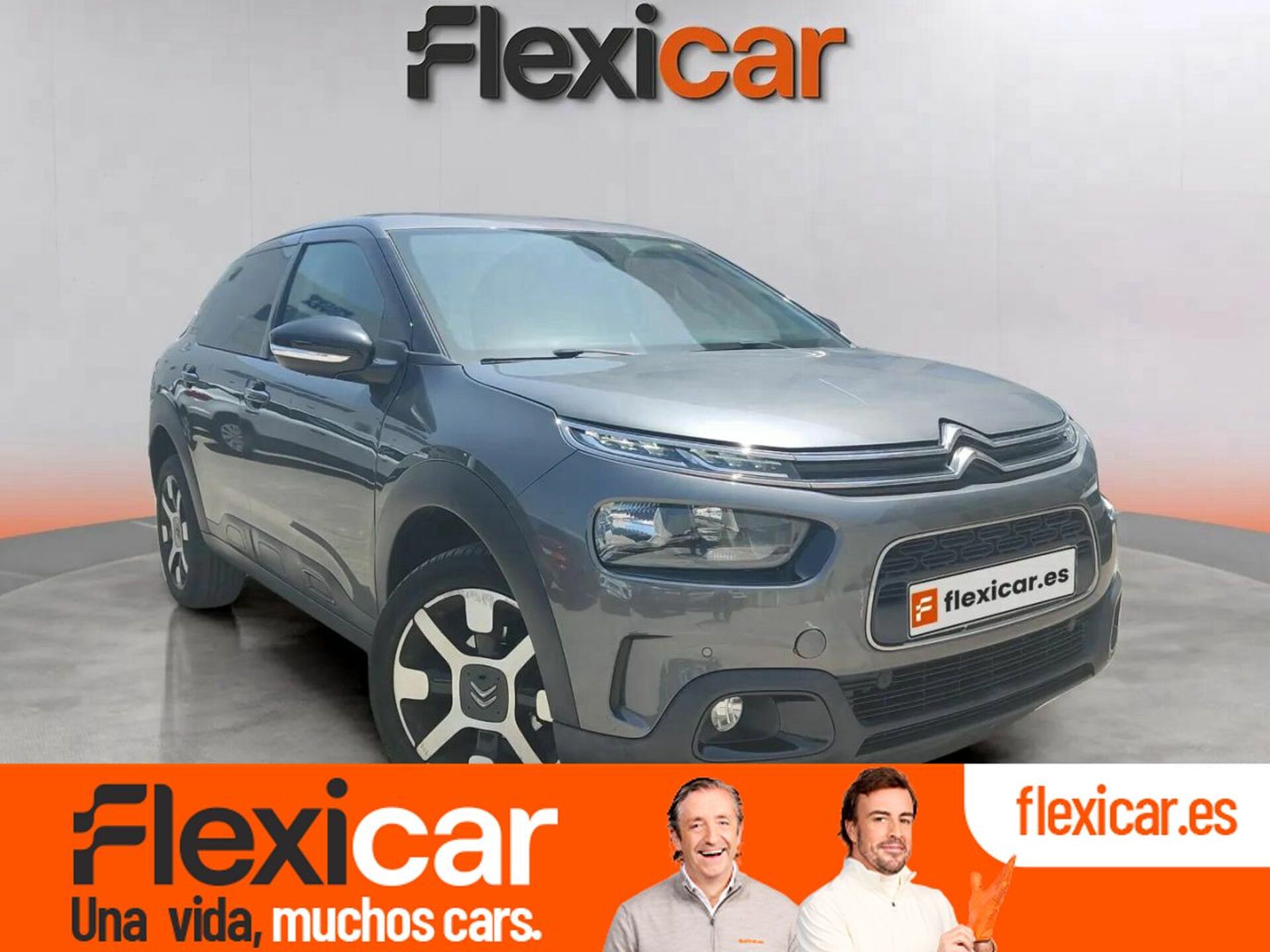 Imagen de CITROEN C4 Cactus