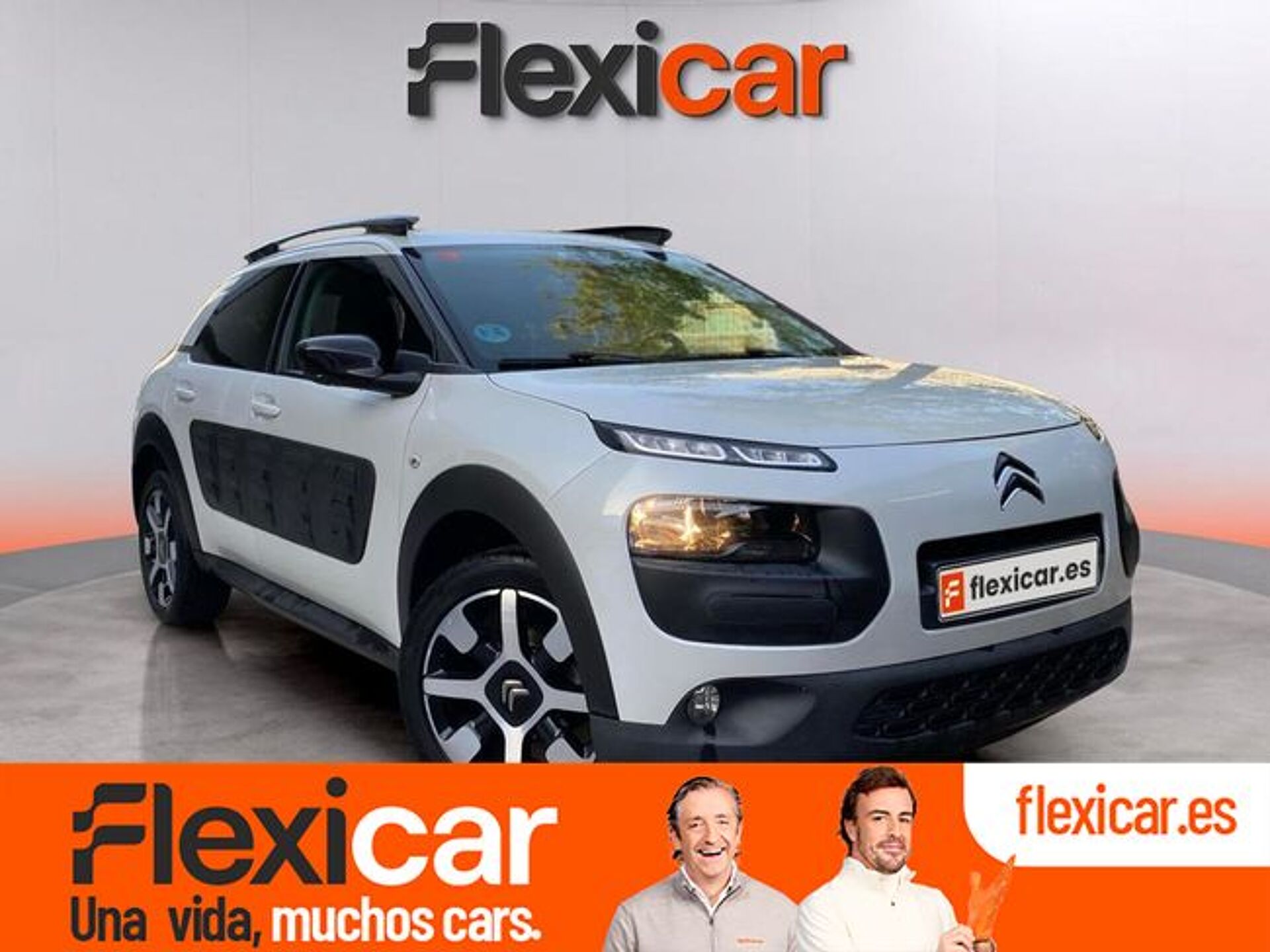 Imagen de CITROEN C4 Cactus