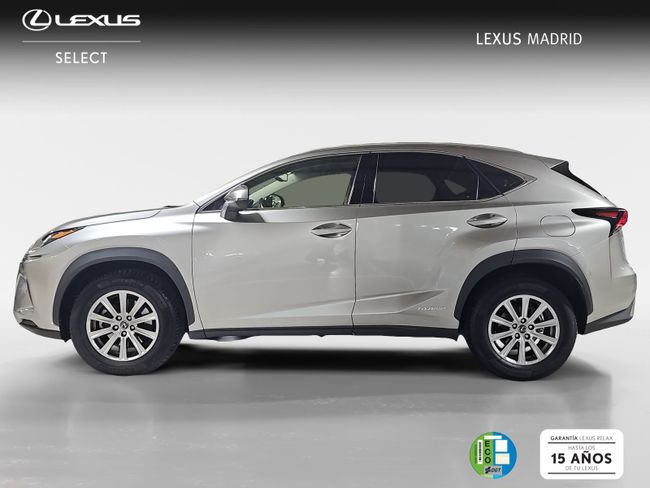 Foto del LEXUS NX 300h Business Navigation 2WD