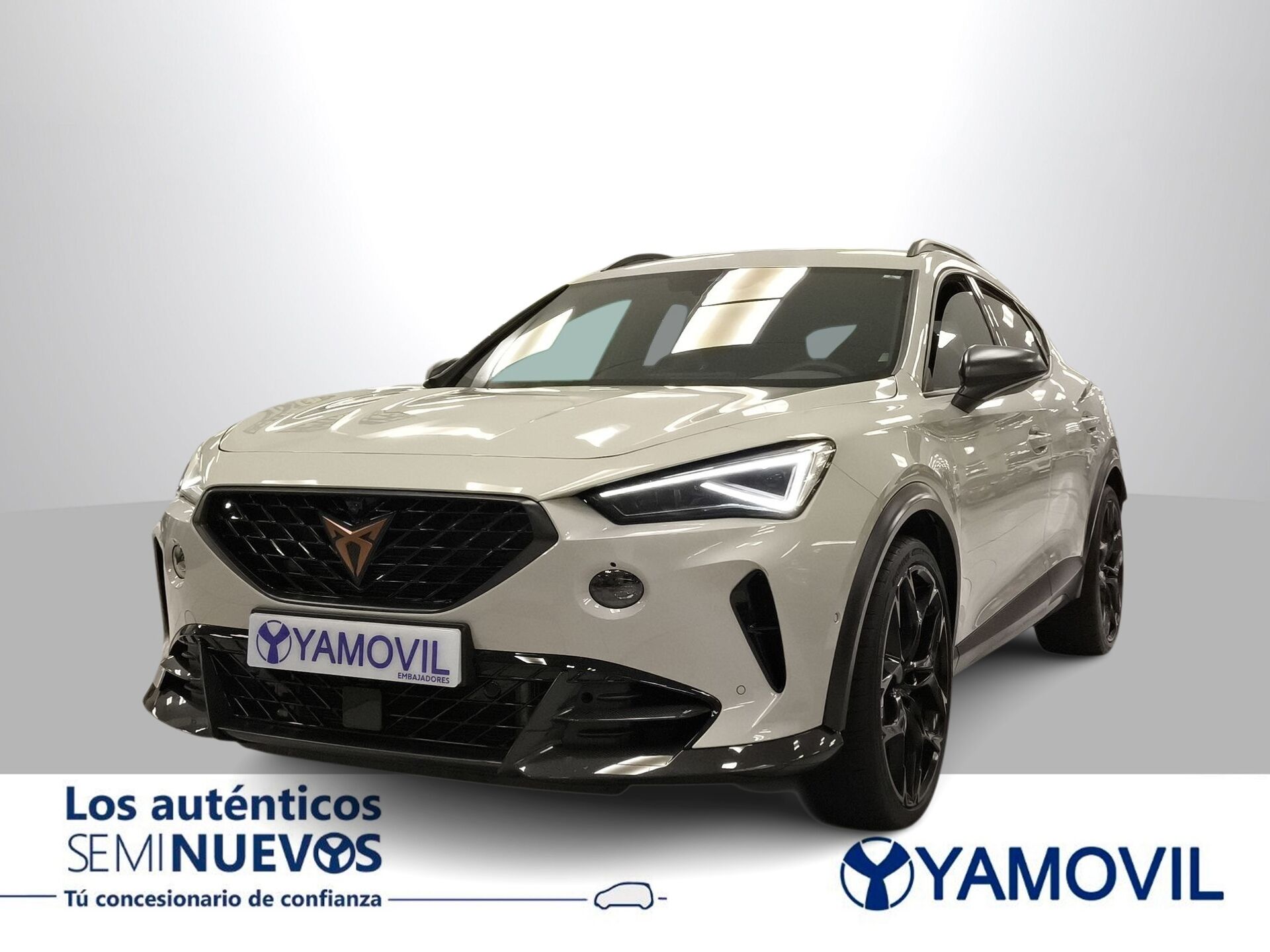 Imagen de CUPRA Formentor