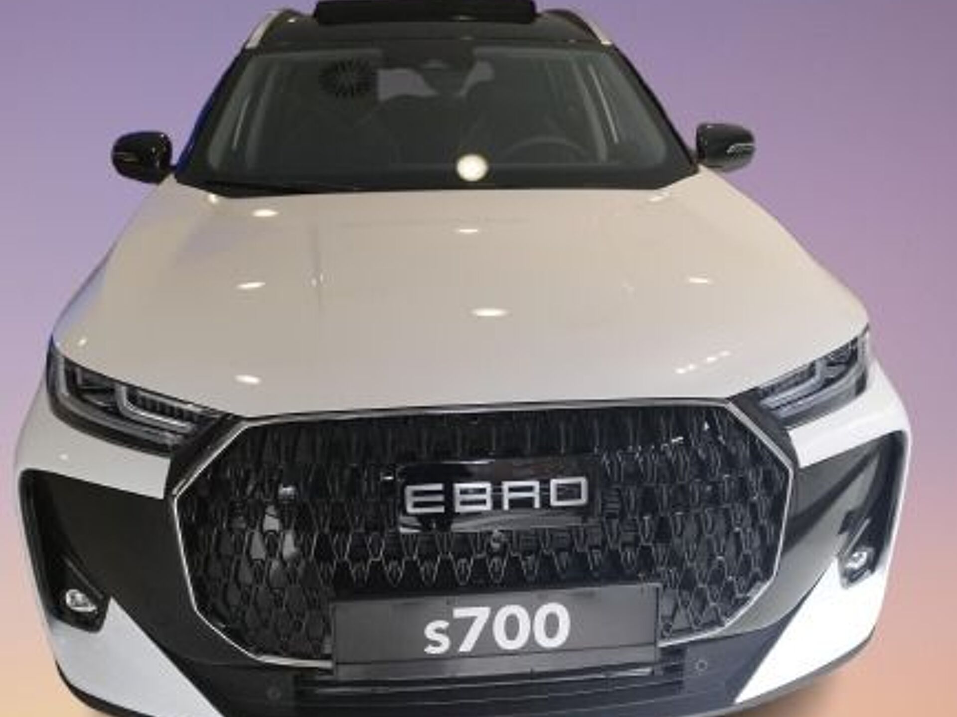 Imagen 2 de EBRO s700