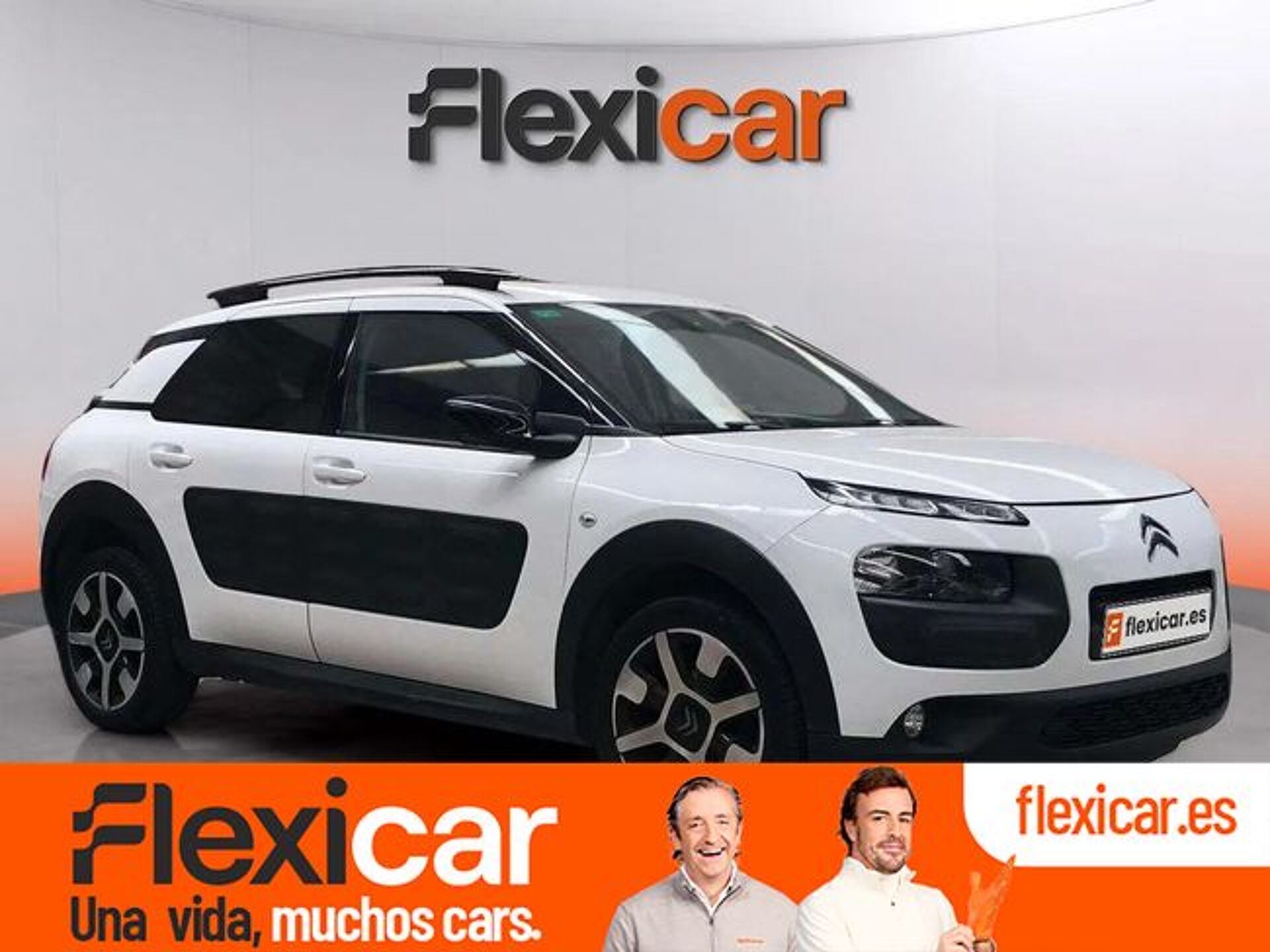 Imagen de CITROEN C4 Cactus