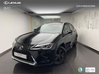 Imagen de LEXUS UX 250h Business 2WD