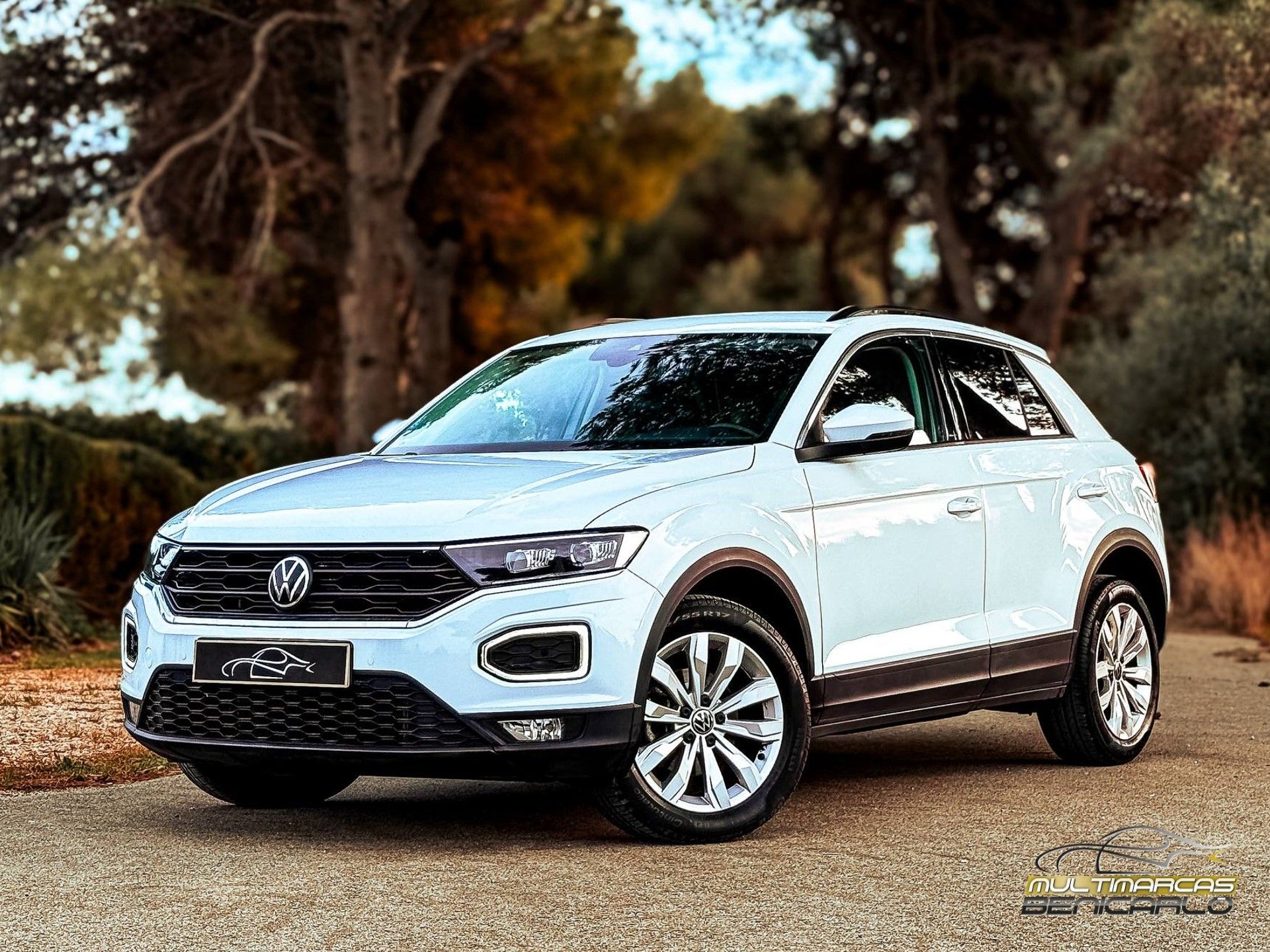 Imagen de VOLKSWAGEN T-Roc