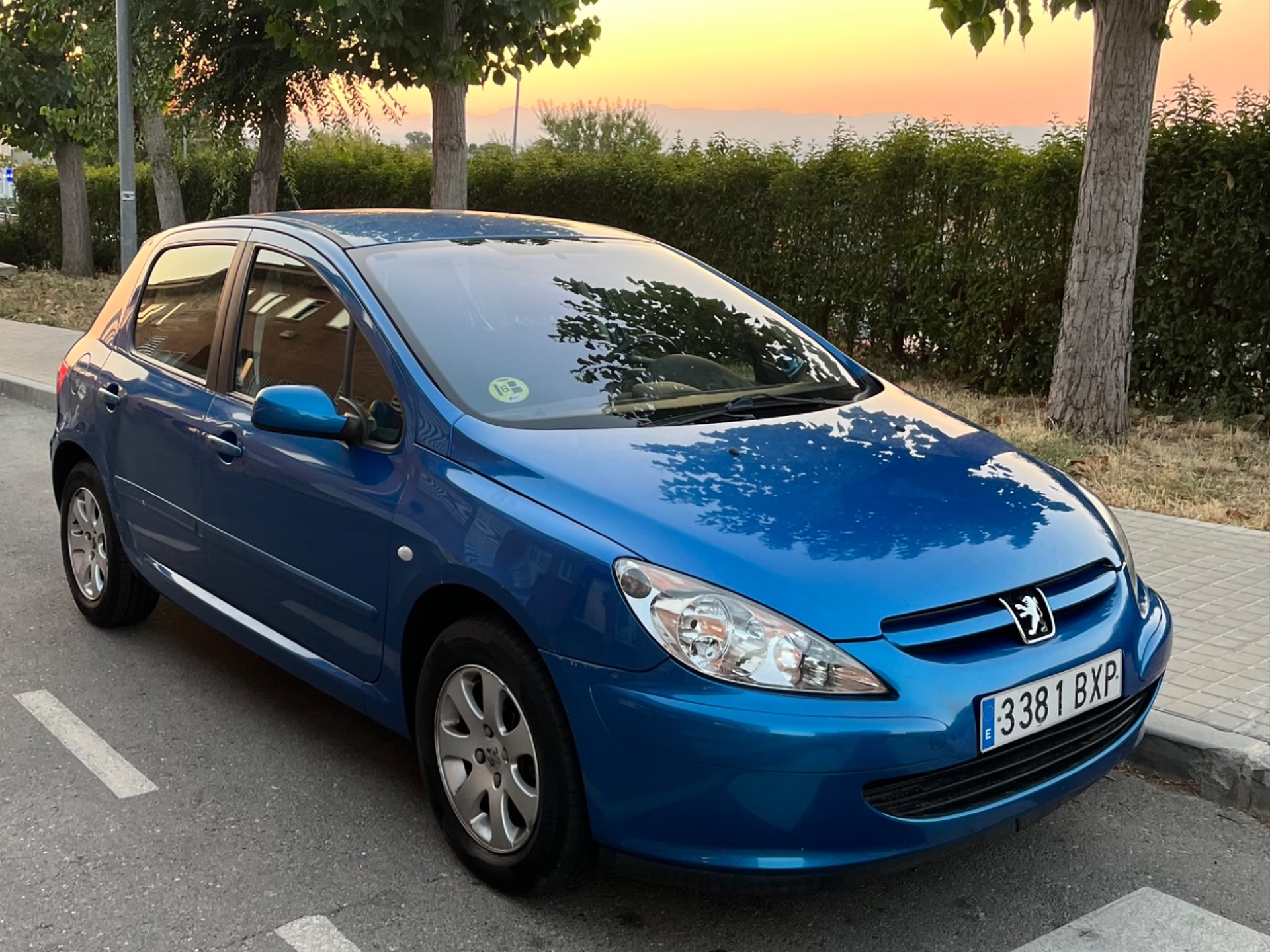 Imagen de PEUGEOT 307