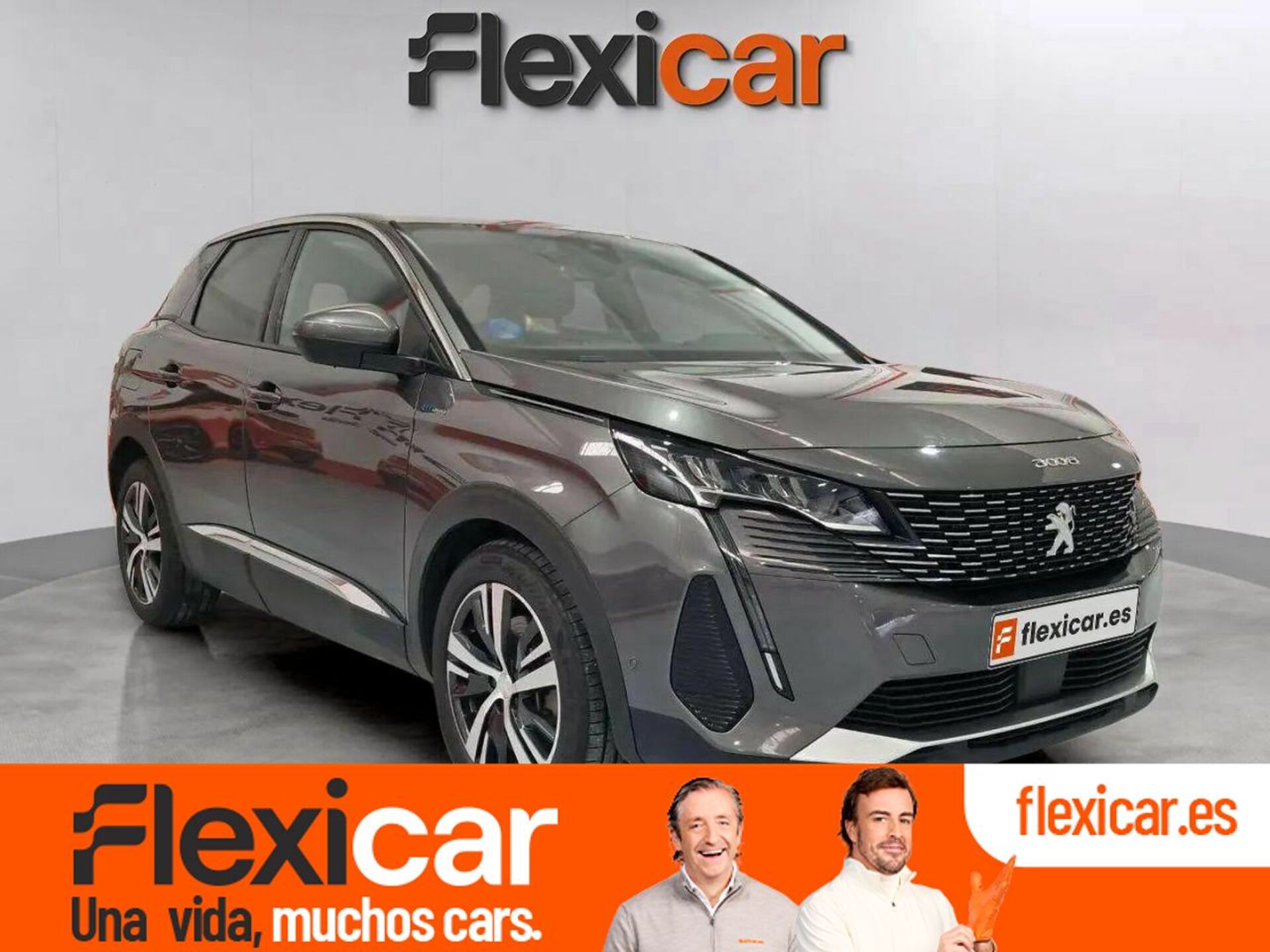Imagen de PEUGEOT 3008