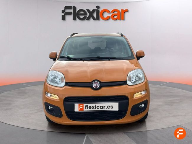 Foto del FIAT Panda 1.2 City Cross 4x2