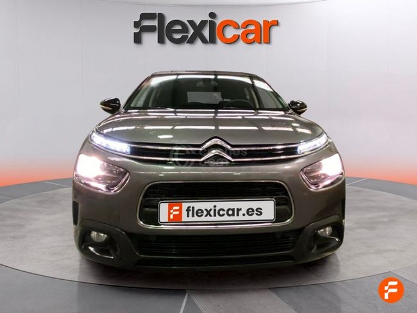 Foto del CITROEN C4 Cactus 1.2 PureTech S&S Shine EAT6 110