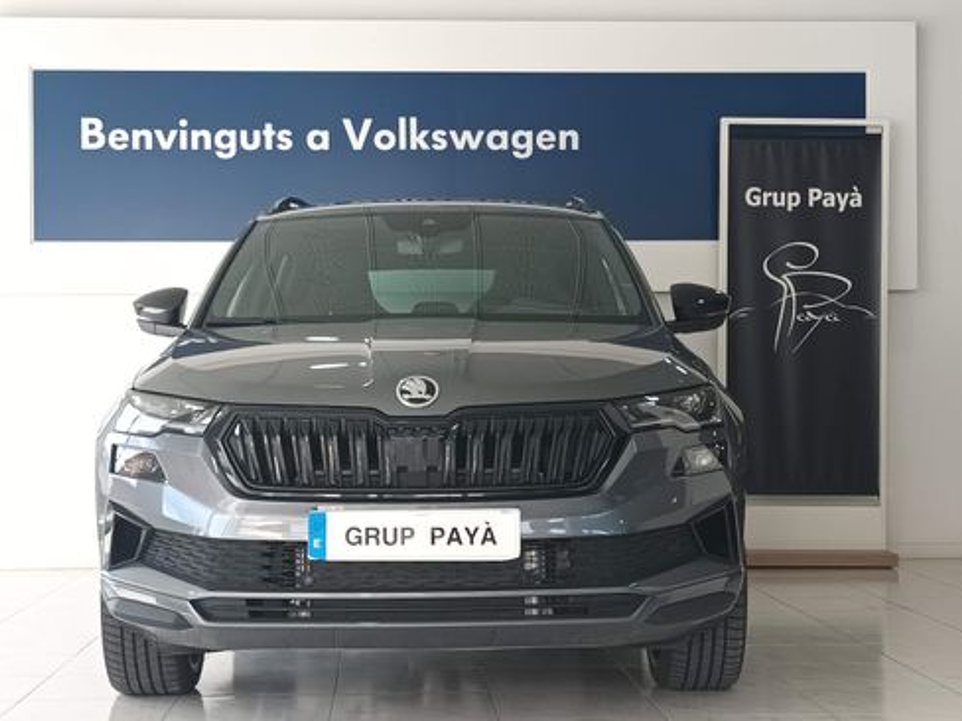 Imagen de SKODA Karoq