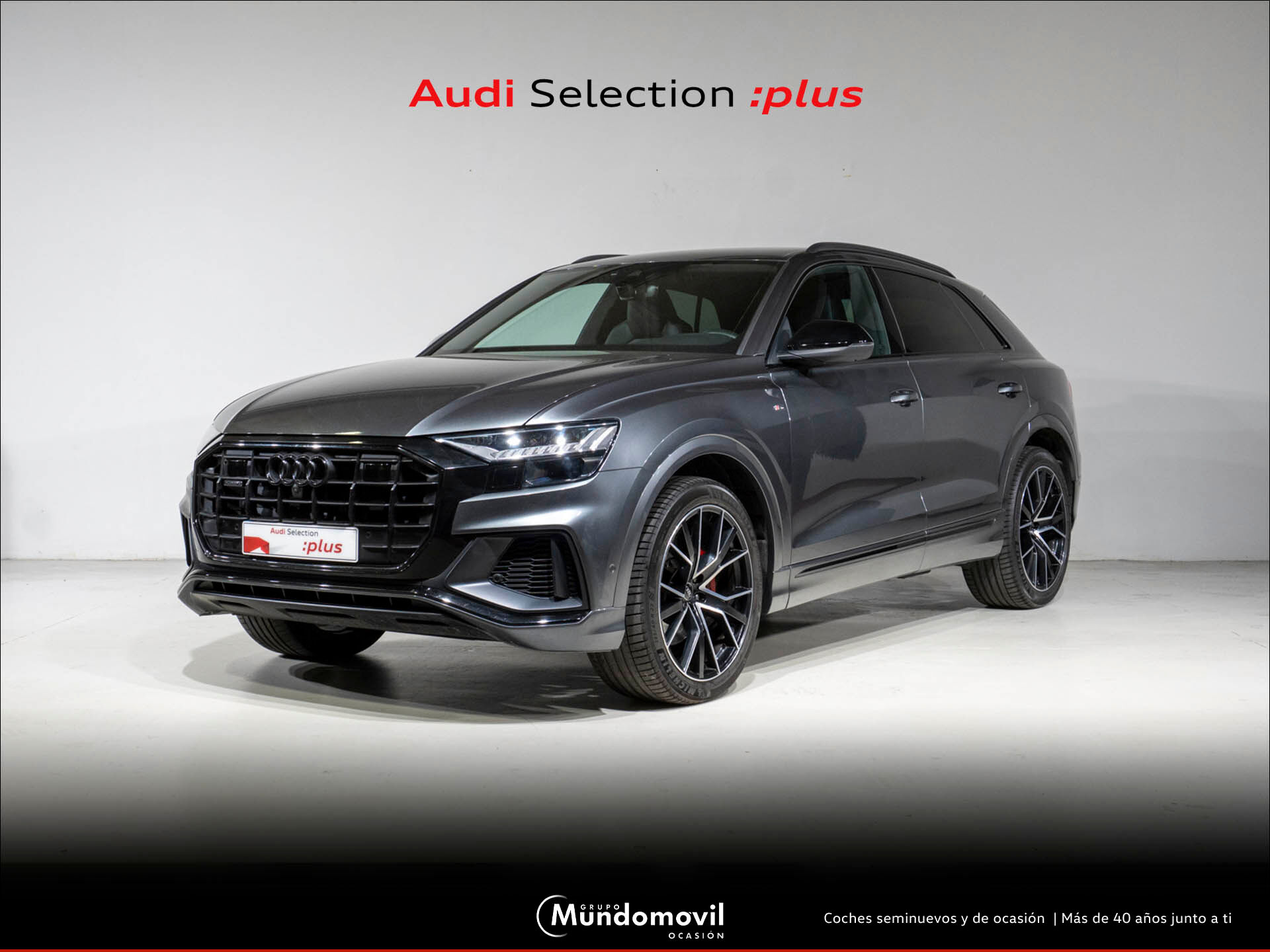 Imagen de AUDI Q8