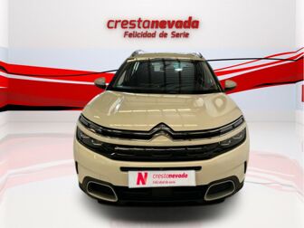 Imagen de CITROEN C5 Aircross PureTech S&S Shine EAT8 180