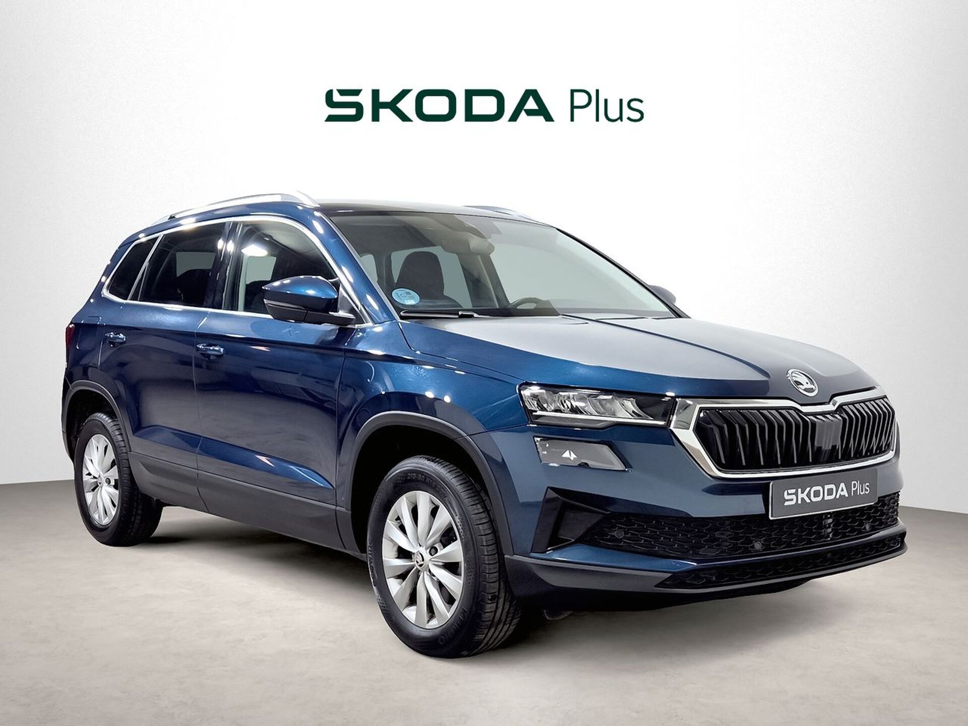 Imagen de SKODA Karoq