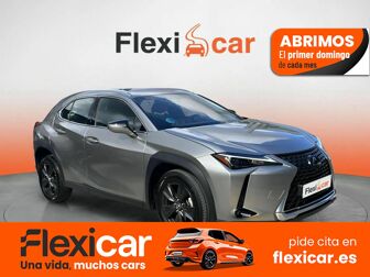 Imagen de LEXUS UX 250h Premium 4WD
