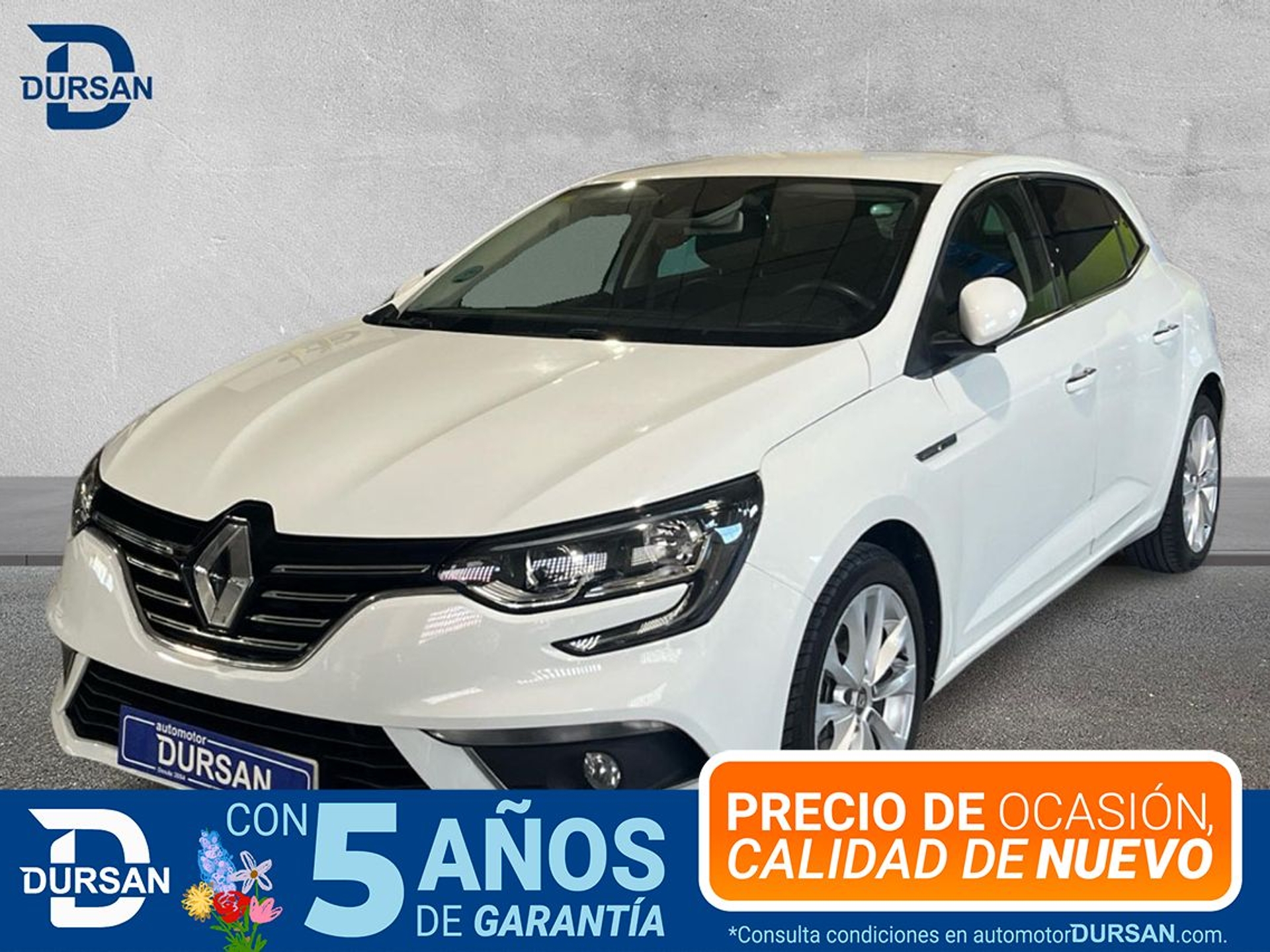 Imagen de RENAULT Mégane