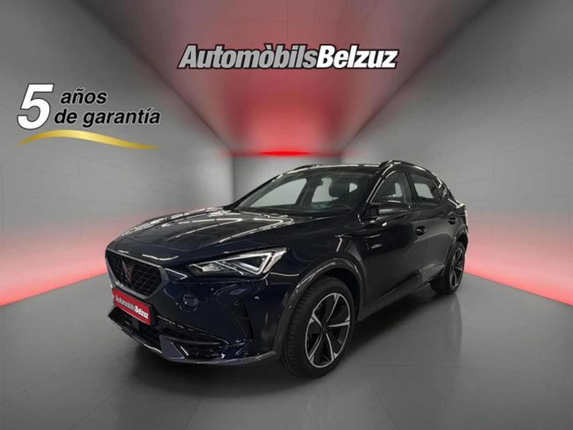 Imagen 1 de CUPRA Formentor