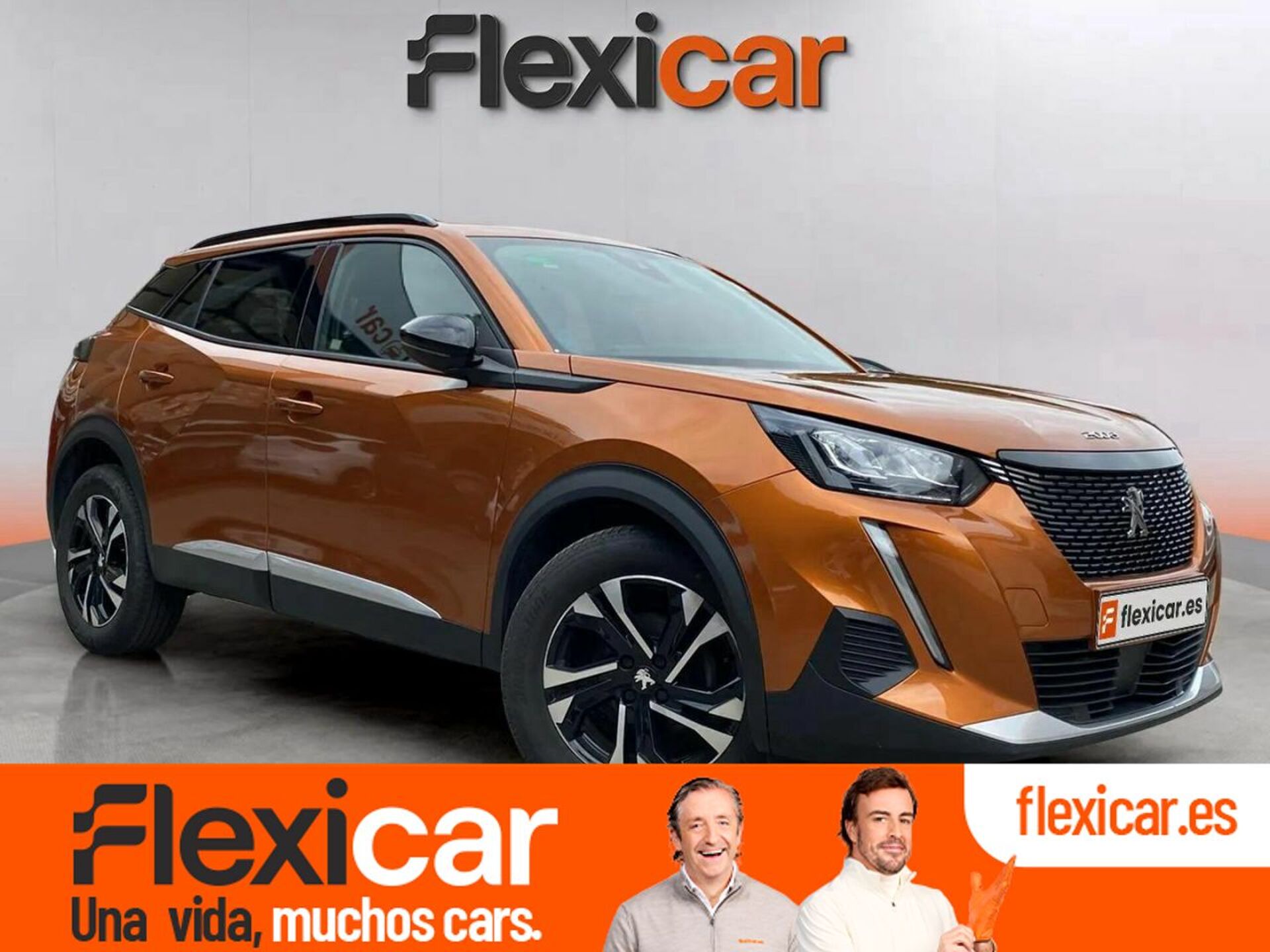 Imagen de PEUGEOT 2008