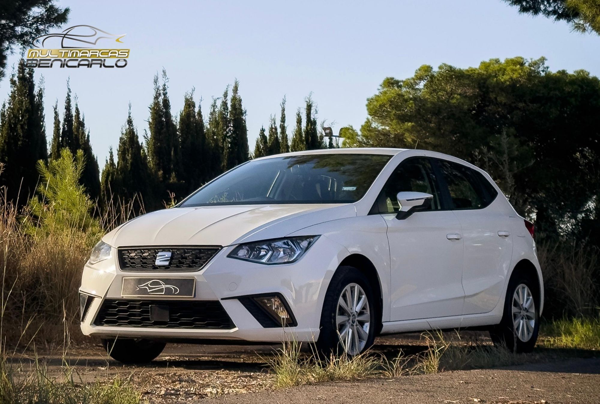 SEAT Ibiza (1.0 MPI S&S Style 80) en Castellón