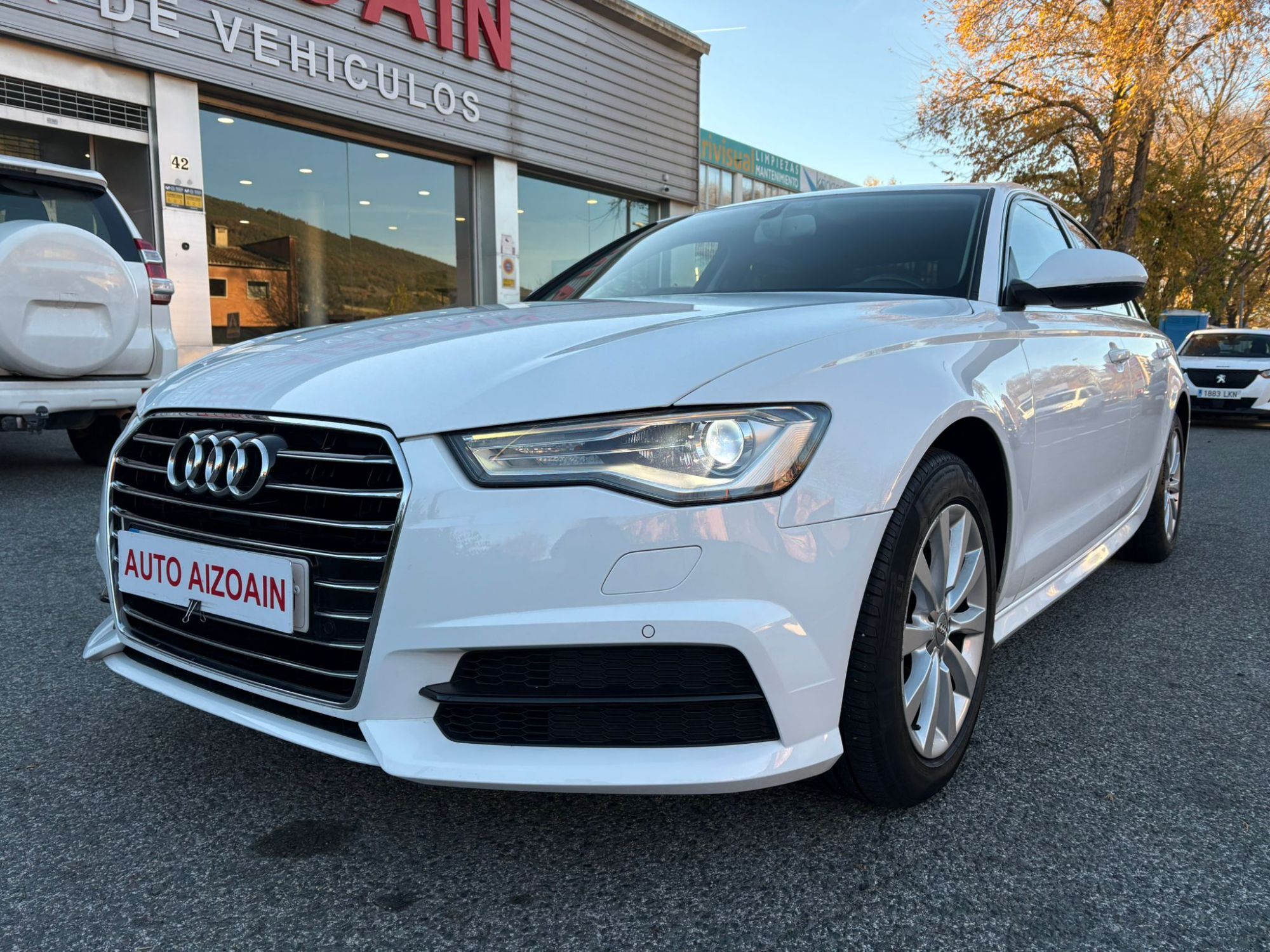 AUDI A6 (2.0TDI 110kW) en Navarra