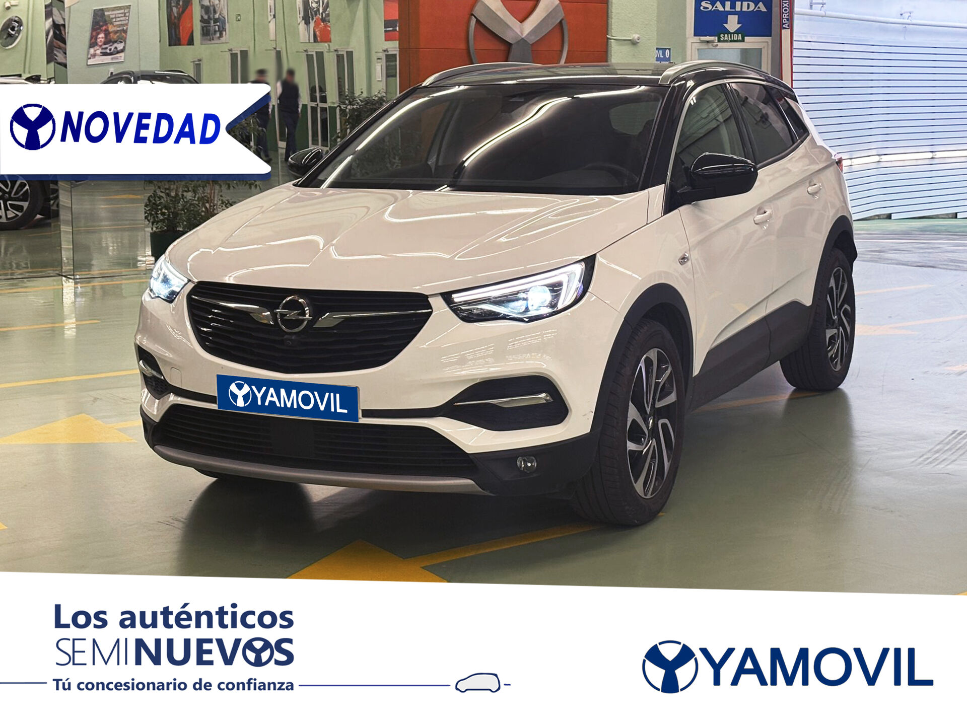 Imagen de OPEL Grandland X
