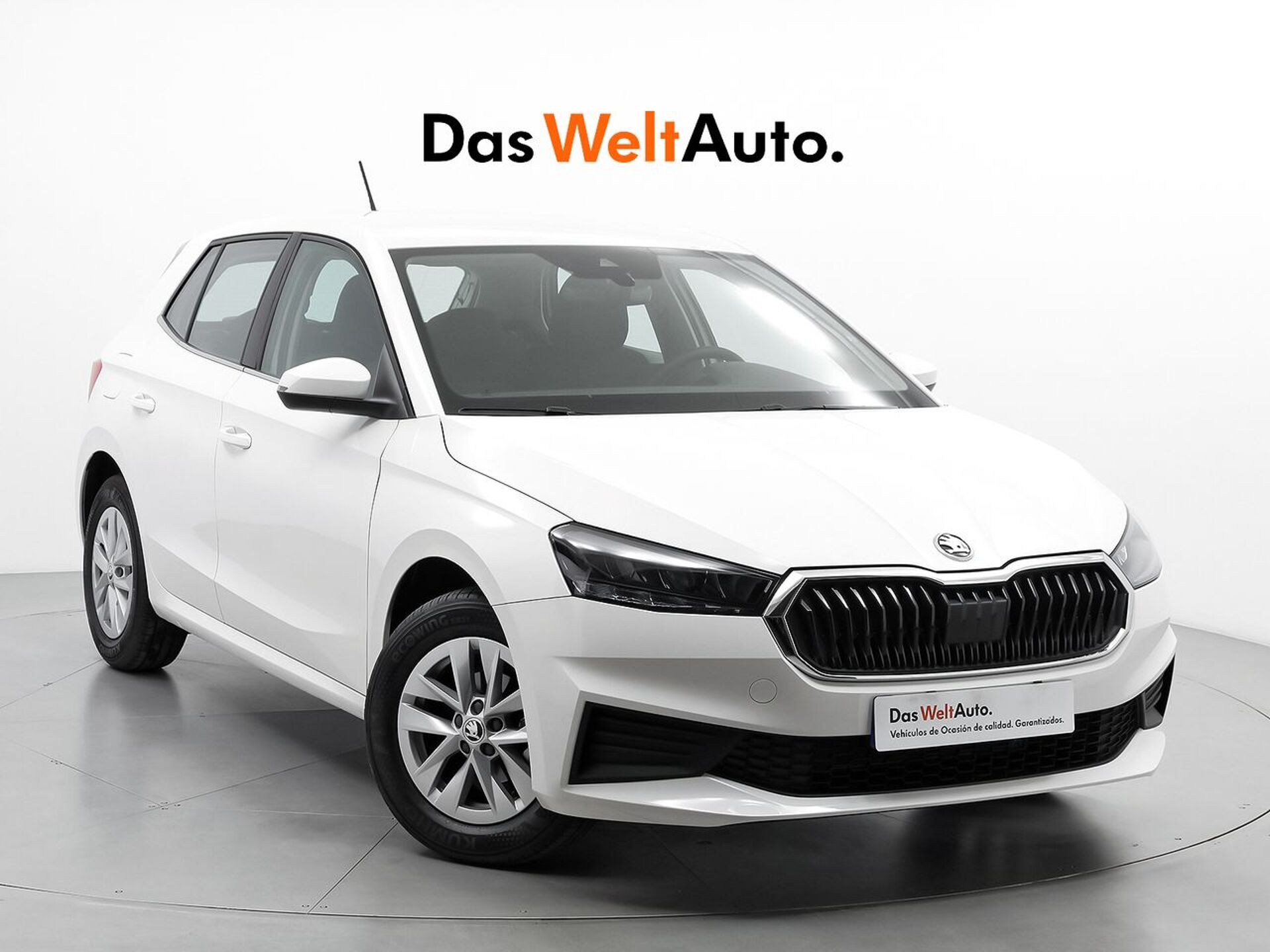 Imagen de SKODA Fabia