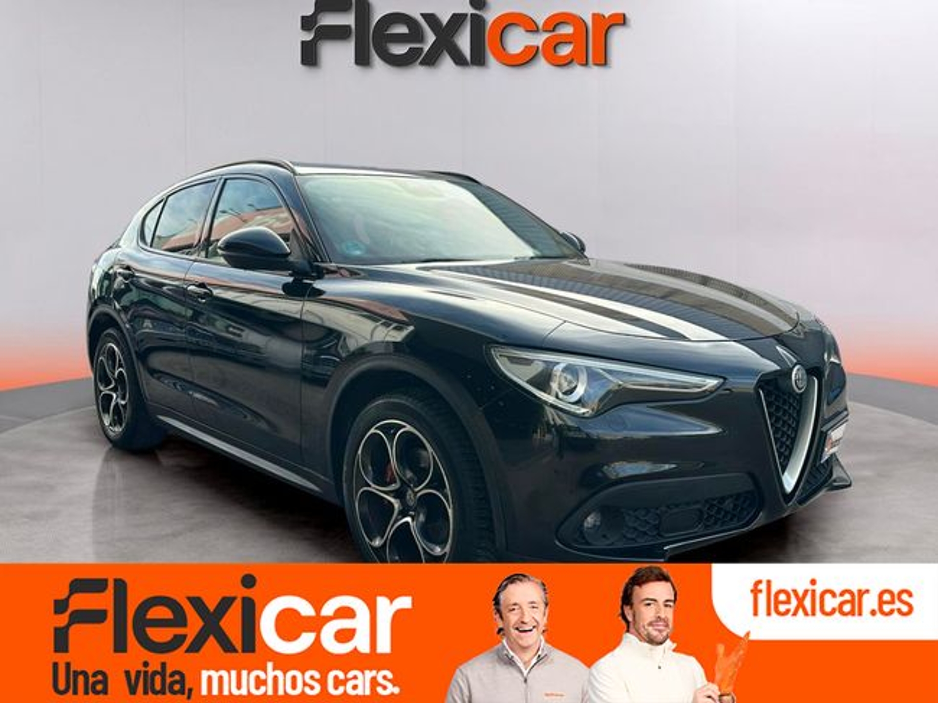 Imagen de ALFA ROMEO Stelvio