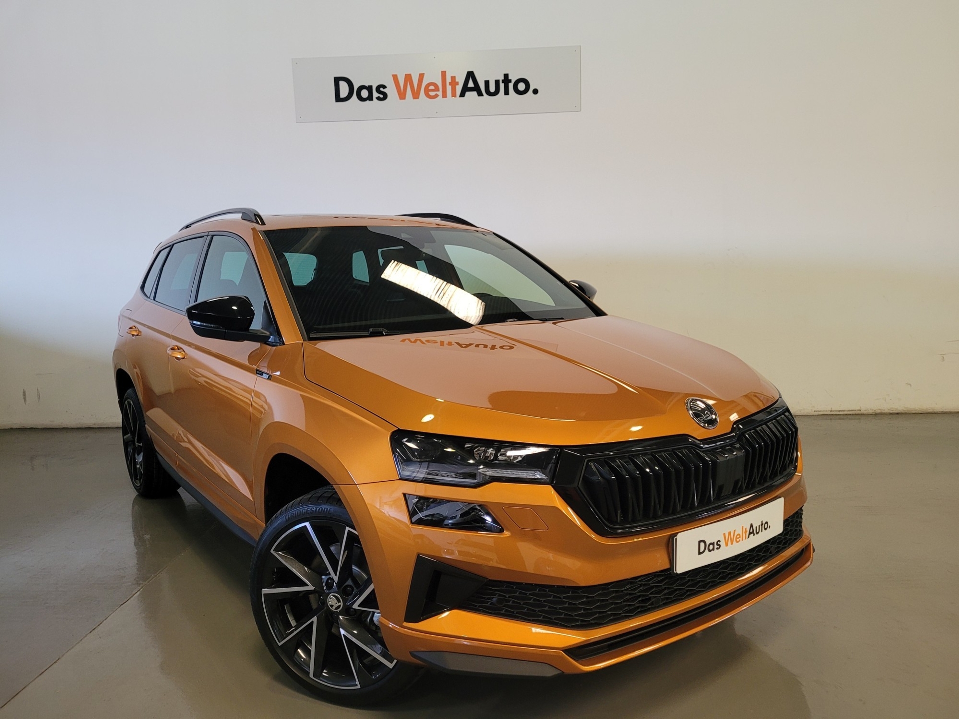 Imagen de SKODA Karoq