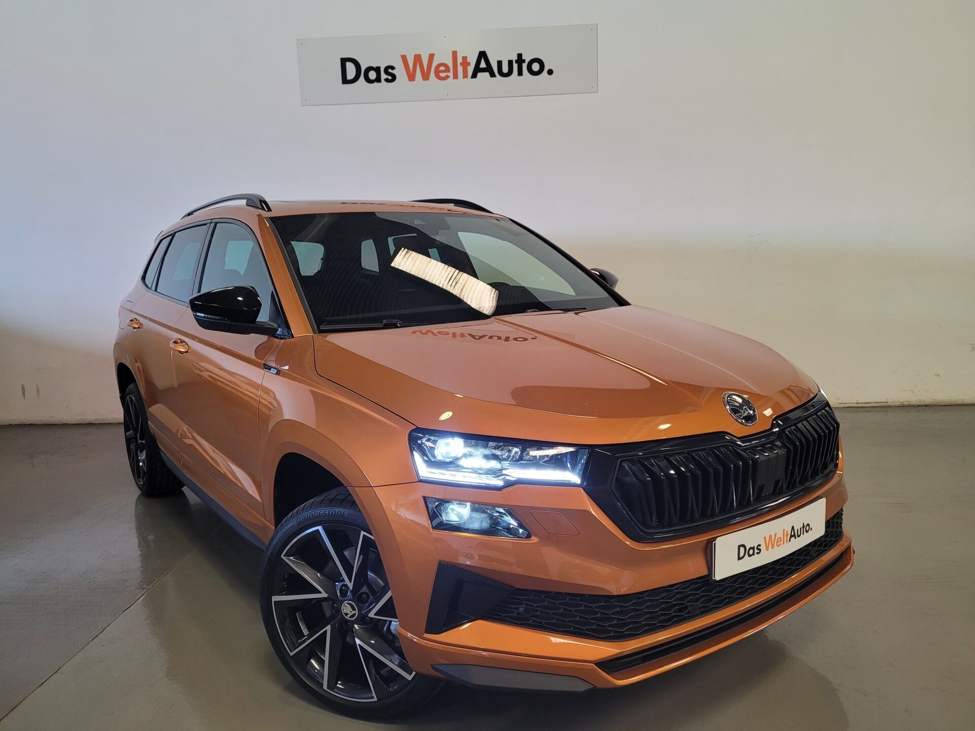 Imagen 2 de SKODA Karoq