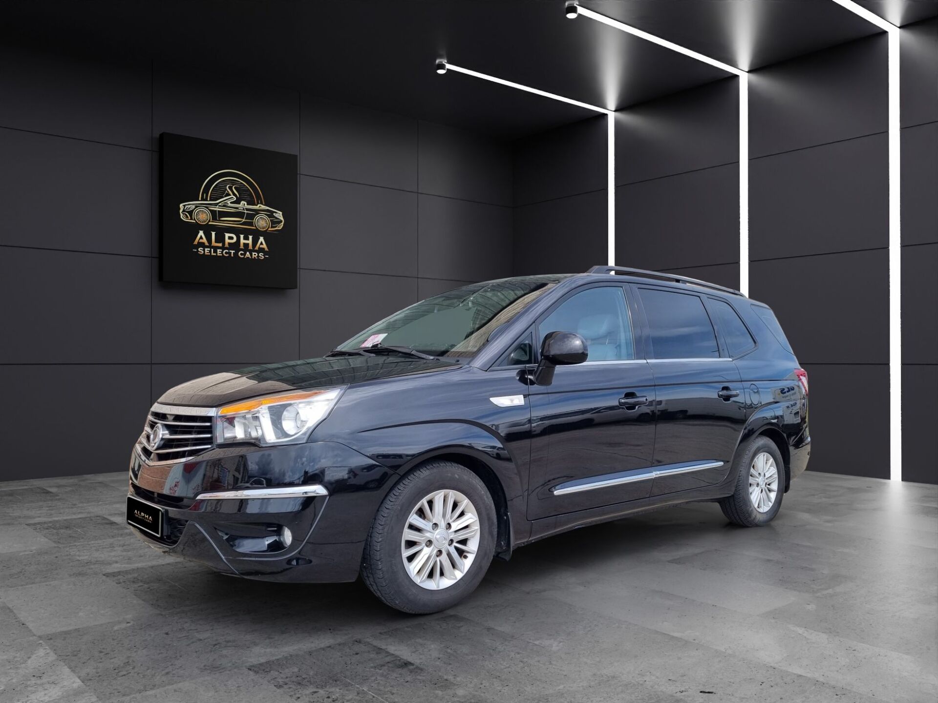 Imagen 2 de SSANGYONG KGM Rodius