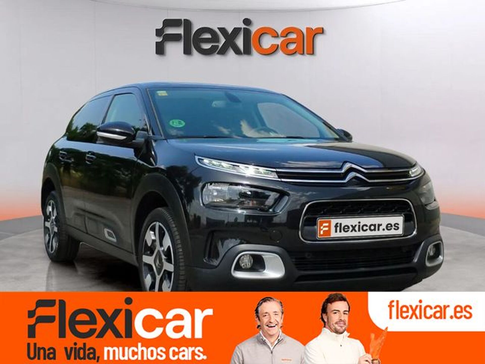 Imagen de CITROEN C4 Cactus