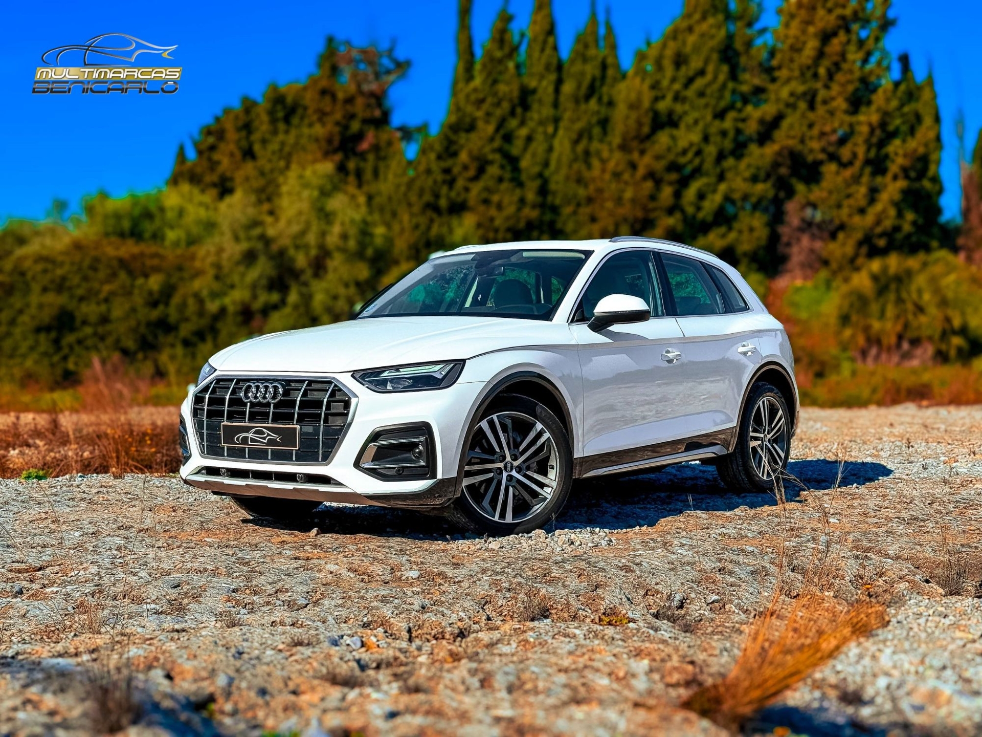 Imagen de AUDI Q5