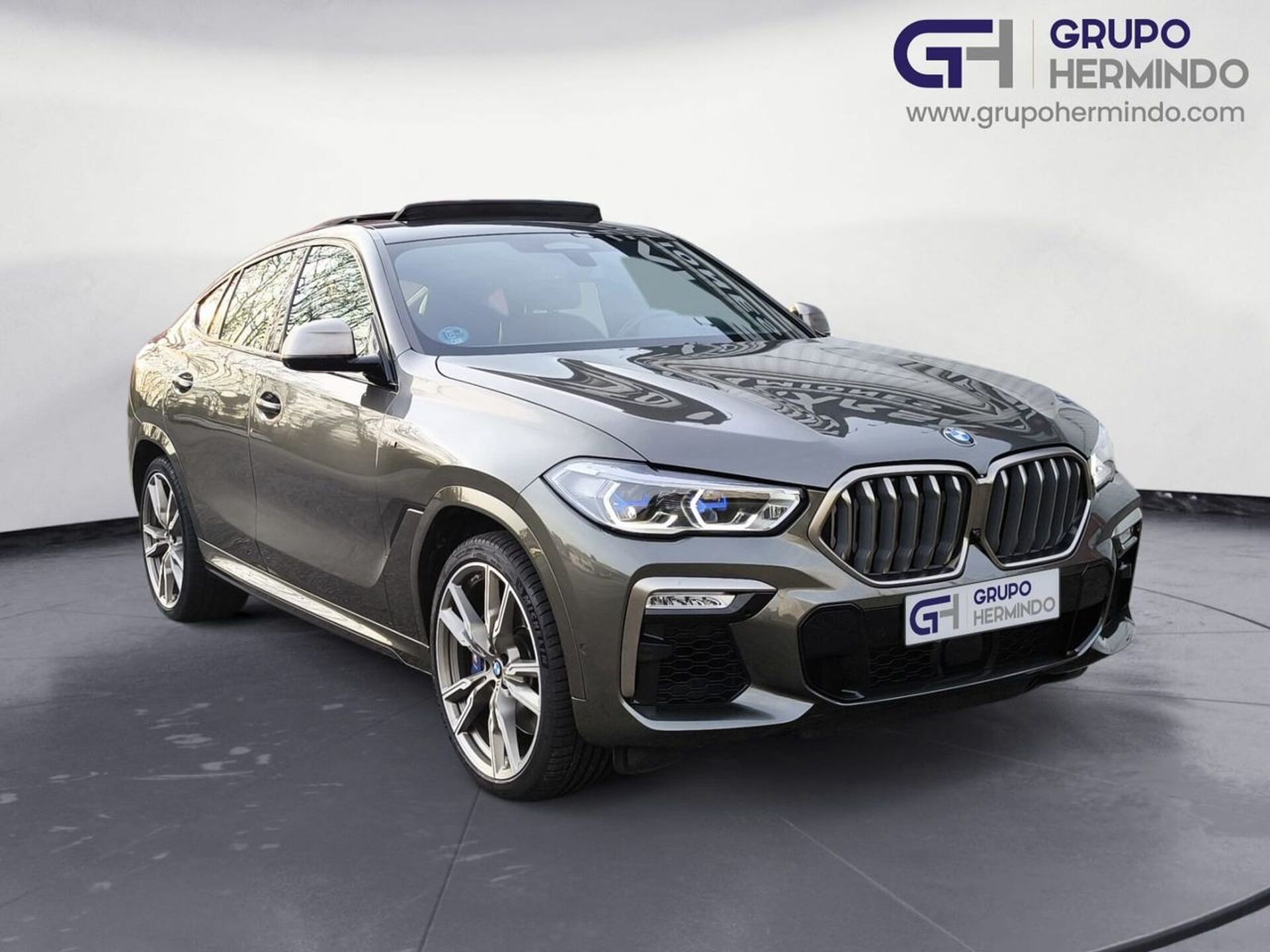 Imagen de BMW X6
