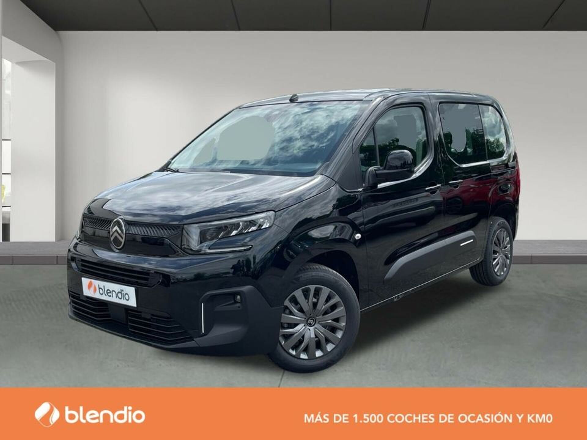 Imagen de CITROEN Berlingo