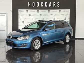 Imagen de VOLKSWAGEN Golf Variant 1.6TDI CR BMT Advance DSG 105