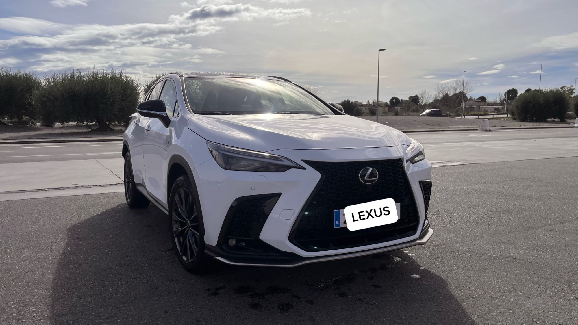 Foto del LEXUS NX 350h F Sport 4WD