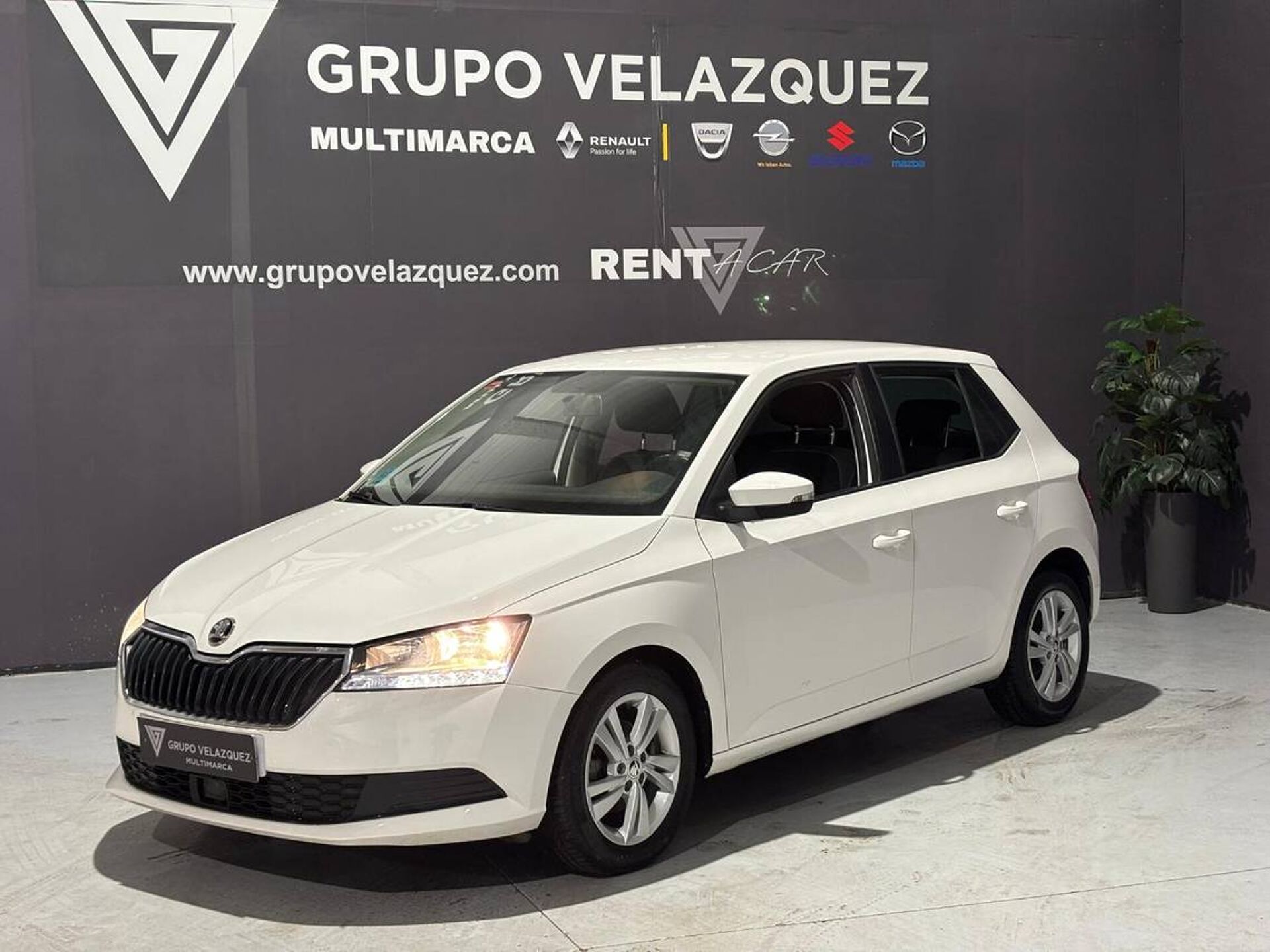 Imagen 1 de SKODA Fabia