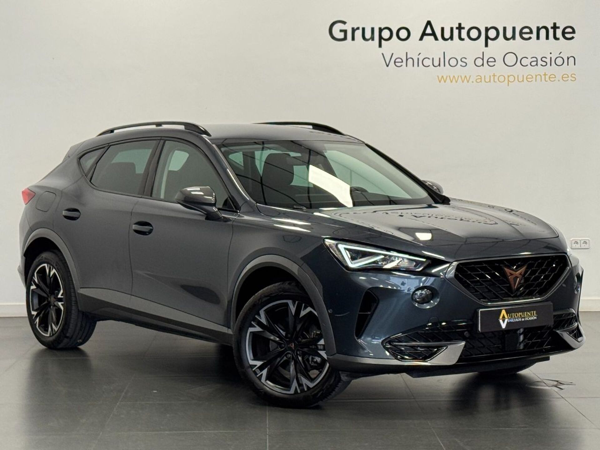 Imagen de CUPRA Formentor