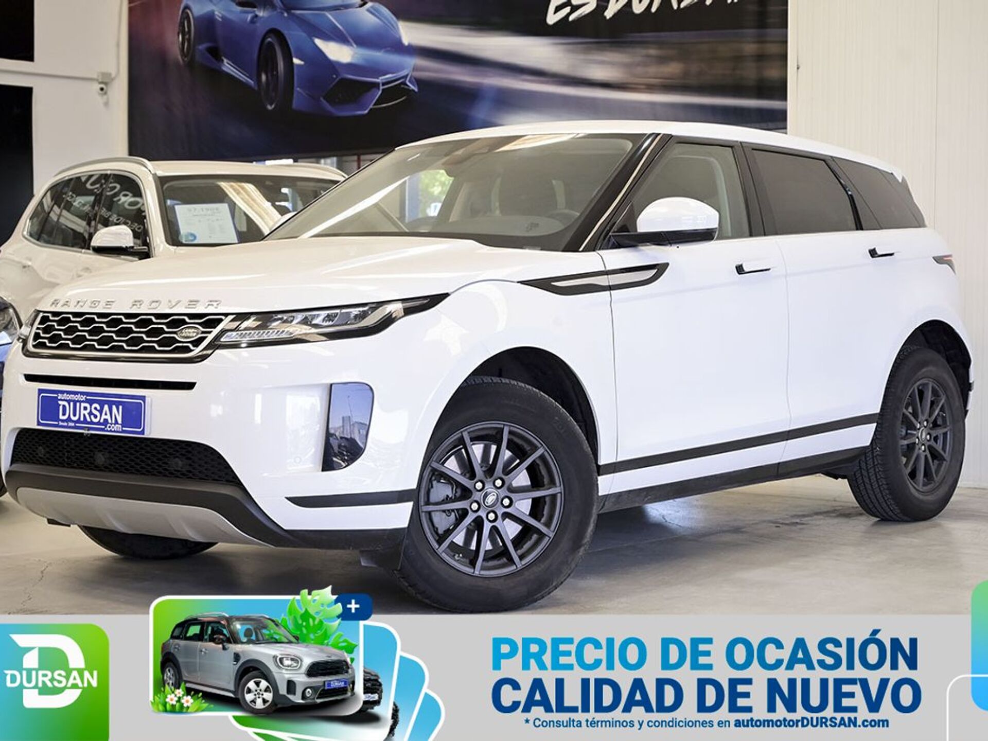 Imagen de LAND ROVER Range Rover Evoque