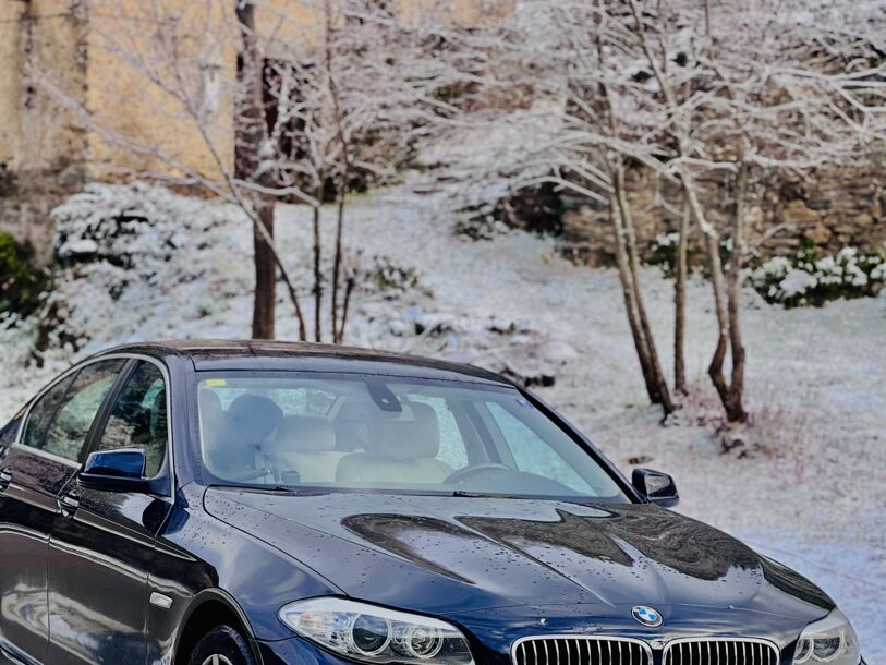 Foto del BMW Serie 5 520d