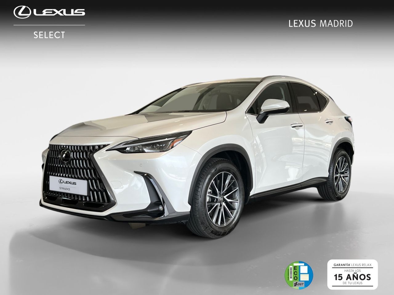 LEXUS NX (450h+ Premium+ 4WD) en Madrid
