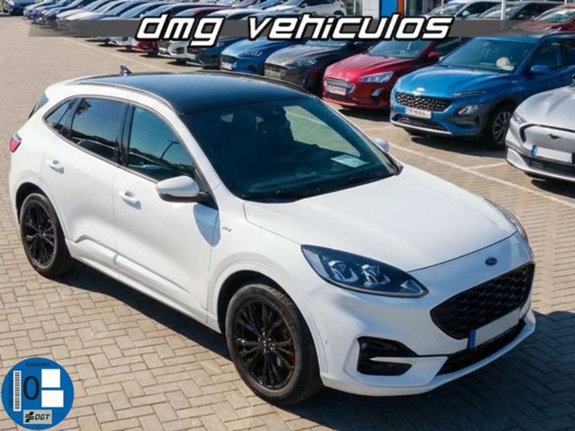 Imagen de FORD Kuga