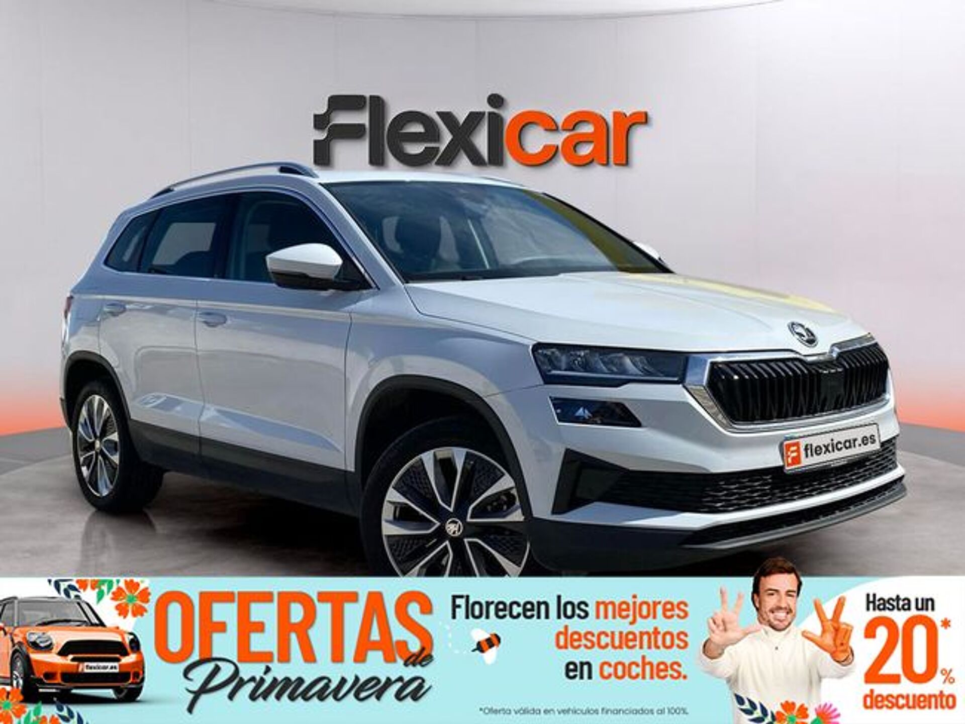 Imagen 1 de SKODA Karoq